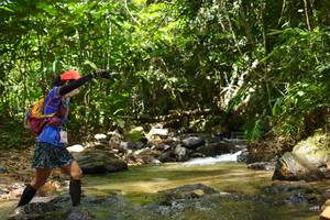 BIB: 
                            <button type="button" onclick="openModal(21851489)" class="btn btn-primary btn-sm float-right btn-popup" data-toggle="modal" data-target=".modal-high-quality">
                        <i class="fas fa-shopping-cart"></i> Add to Cart
                    </button>
                                            <button type="button" onclick="isThisMe(21851489, true)" class="btn btn-success btn-sm float-right btn-popup btn-isme hidden" data-toggle="tooltip" data-placement="bottom" title="นี่คือรูปของคุณใช่ไหม คลิกที่นี่เพื่อเอาเข้าอัลบั้ม">
                        <i class="fas fa-plus"></i> Add to album
                    </button>
                    <button type="button" onclick="isThisMe(21851489, false)" class="btn btn-warning btn-sm float-right btn-popup btn-isnotme hidden">
                        <i class="fas fa-ban"></i> Remove from album
                    </button>